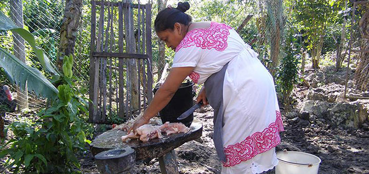 Maya-Frau zerteilt totes Huhn in ihrem Garten