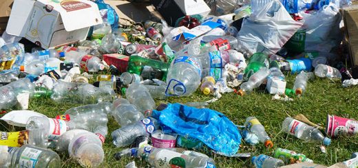 Plastikmüll