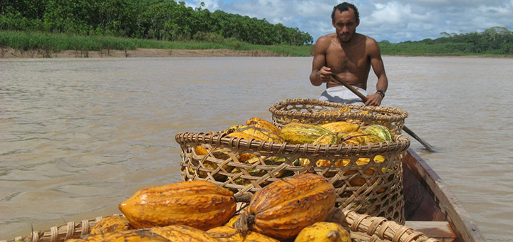 Kakaotransport in Brasilien