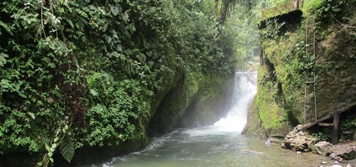 Wasserfall in Mindo