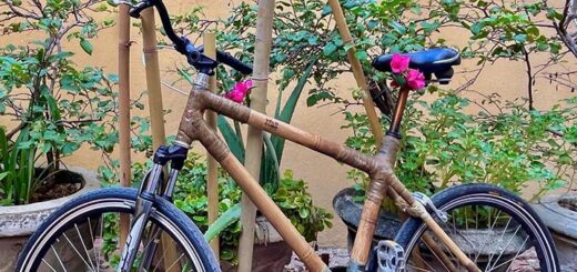 Fahrrad aus Bambus