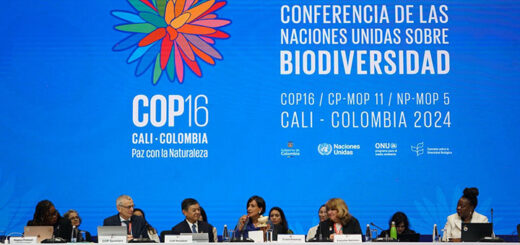 COP16-Konferenz in Cali 2024