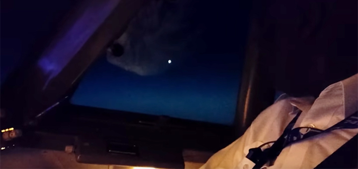 Sichtung eines echten außerirdischen UFOs