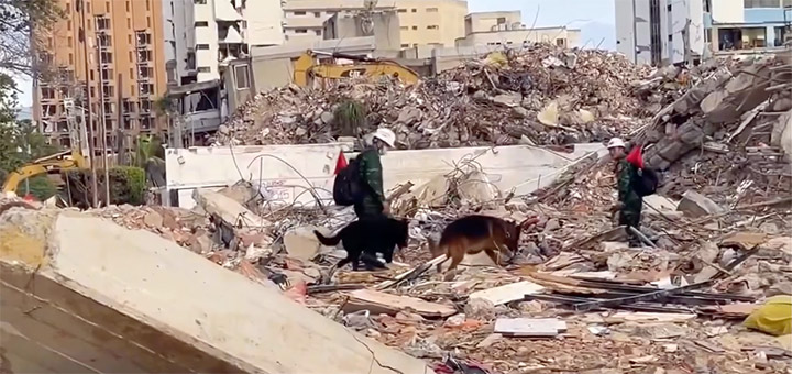 Spürhunde im Einsatz nach den Erdbeben in Venezuela